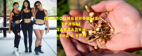 герыч Аркадак