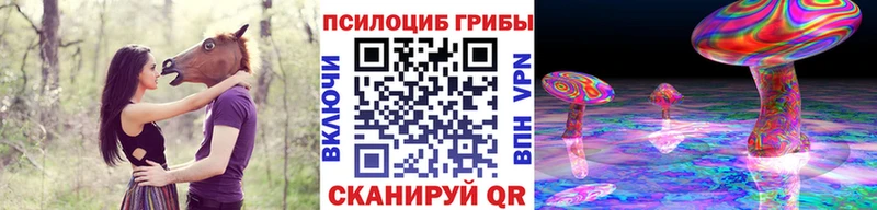 купить   дарк нет официальный сайт  Галлюциногенные грибы ЛСД  Тайшет 